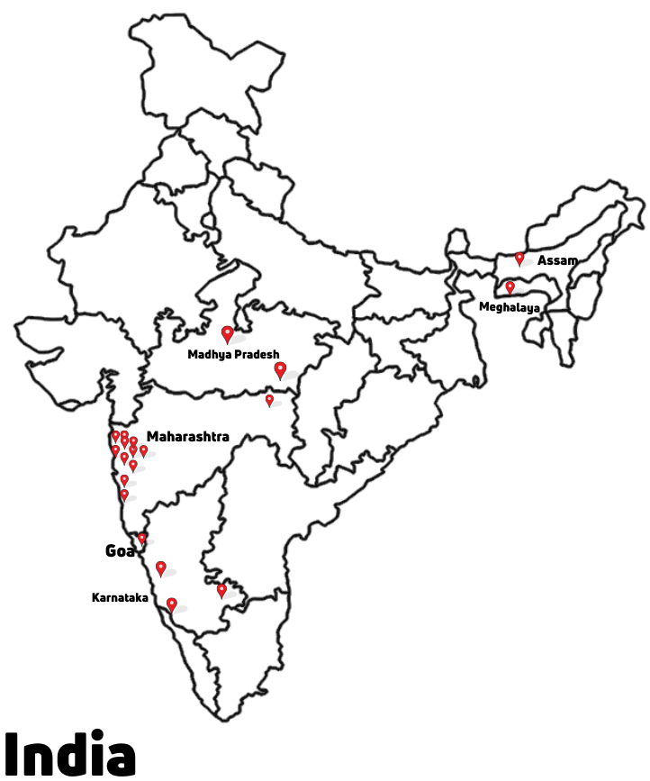 ACCMI Presence in India